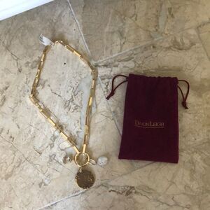 Devon Leigh chain link gold necklace with pouch, brand new